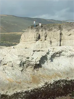 small_040521 caPICT4988.webp